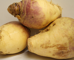 Rutabaga (LOCAL)